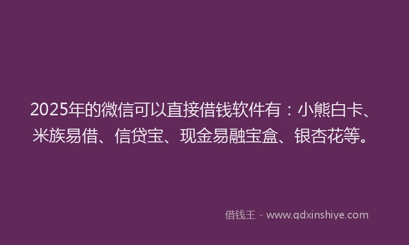 2025年的微信可以直接借钱软件有：小熊白卡、米族易借、信贷宝、现金易融宝盒、银杏花等。