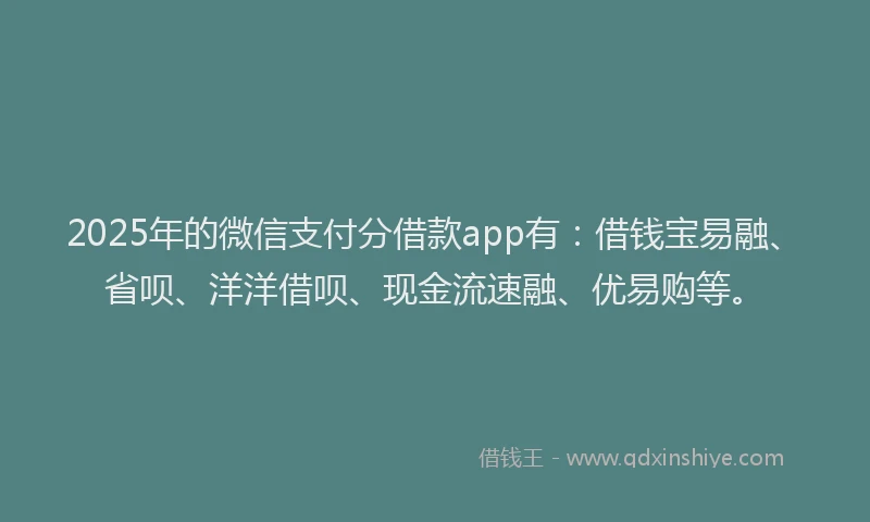 2025年的微信支付分借款app有：借钱宝易融、省呗、洋洋借呗、现金流速融、优易购等。