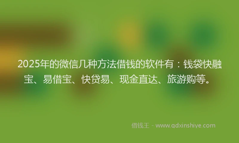 2025年的微信几种方法借钱的软件有：钱袋快融宝、易借宝、快贷易、现金直达、旅游购等。