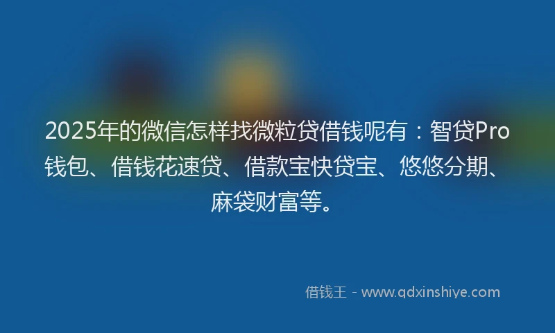 2025年的微信怎样找微粒贷借钱呢有：智贷Pro钱包、借钱花速贷、借款宝快贷宝、悠悠分期、麻袋财富等。
