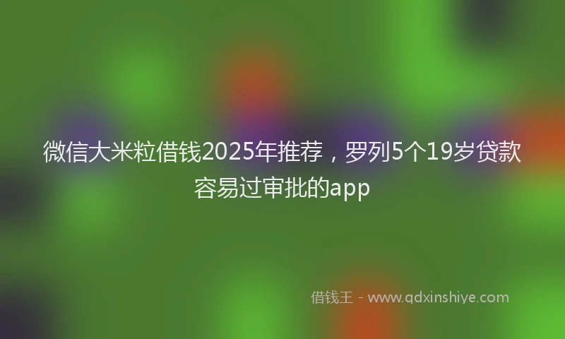 微信大米粒借钱2025年推荐，罗列5个19岁贷款容易过审批的app