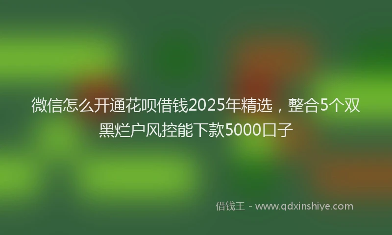 微信怎么开通花呗借钱2025年精选，整合5个双黑烂户风控能下款5000口子