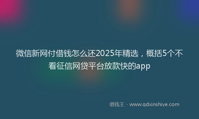 微信新网付借钱怎么还2025年精选，概括5个不看征信网贷平台放款快的app