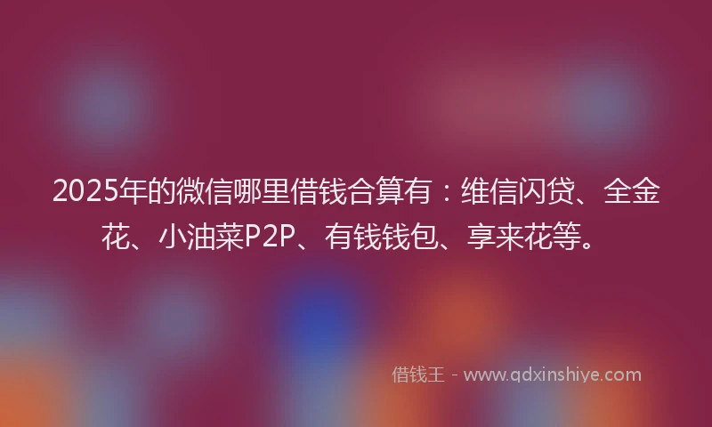 2025年的微信哪里借钱合算有：维信闪贷、全金花、小油菜P2P、有钱钱包、享来花等。