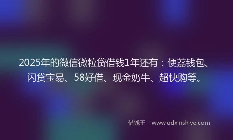 2025年的微信微粒贷借钱1年还有：便荔钱包、闪贷宝易、58好借、现金奶牛、超快购等。