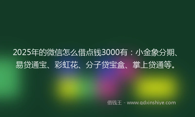 2025年的微信怎么借点钱3000有：小金象分期、易贷通宝、彩虹花、分子贷宝盒、掌上贷通等。