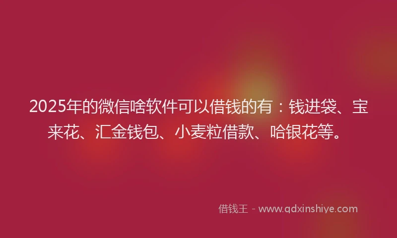 2025年的微信啥软件可以借钱的有：钱进袋、宝来花、汇金钱包、小麦粒借款、哈银花等。