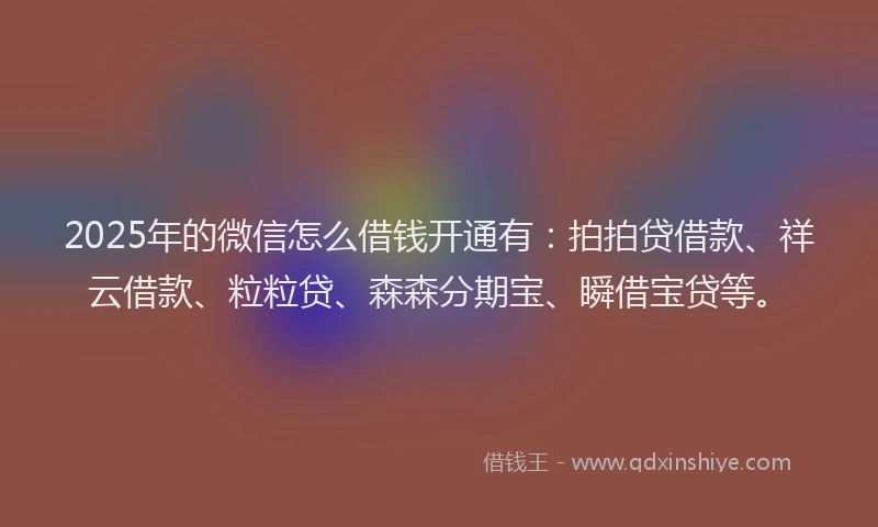2025年的微信怎么借钱开通有：拍拍贷借款、祥云借款、粒粒贷、森森分期宝、瞬借宝贷等。
