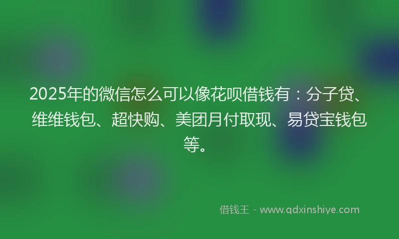 2025年的微信怎么可以像花呗借钱有：分子贷、维维钱包、超快购、美团月付取现、易贷宝钱包等。