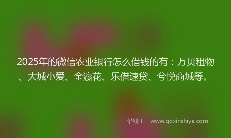 2025年的微信农业银行怎么借钱的有：万贝租物、大城小爱、金瀛花、乐借速贷、兮悦商城等。