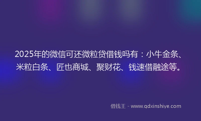 2025年的微信可还微粒贷借钱吗有：小牛金条、米粒白条、匠也商城、聚财花、钱速借融途等。