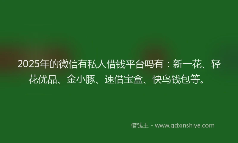 2025年的微信有私人借钱平台吗有：新一花、轻花优品、金小豚、速借宝盒、快鸟钱包等。
