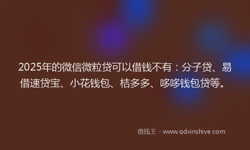 2025年的微信微粒贷可以借钱不有：分子贷、易借速贷宝、小花钱包、桔多多、哆哆钱包贷等。