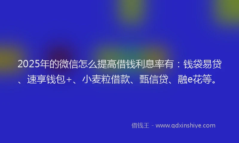 2025年的微信怎么提高借钱利息率有：钱袋易贷、速享钱包+、小麦粒借款、甄信贷、融e花等。