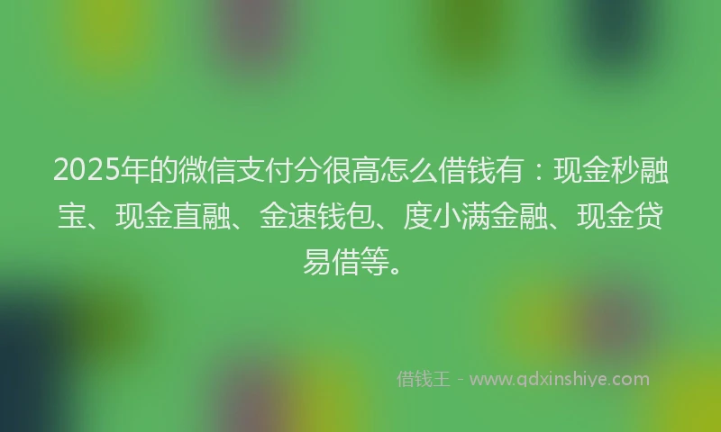 2025年的微信支付分很高怎么借钱有：现金秒融宝、现金直融、金速钱包、度小满金融、现金贷易借等。