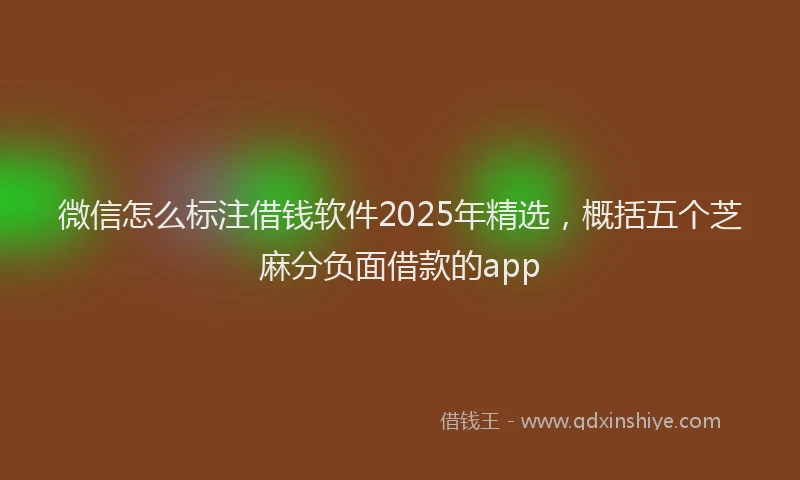 微信怎么标注借钱软件2025年精选，概括五个芝麻分负面借款的app