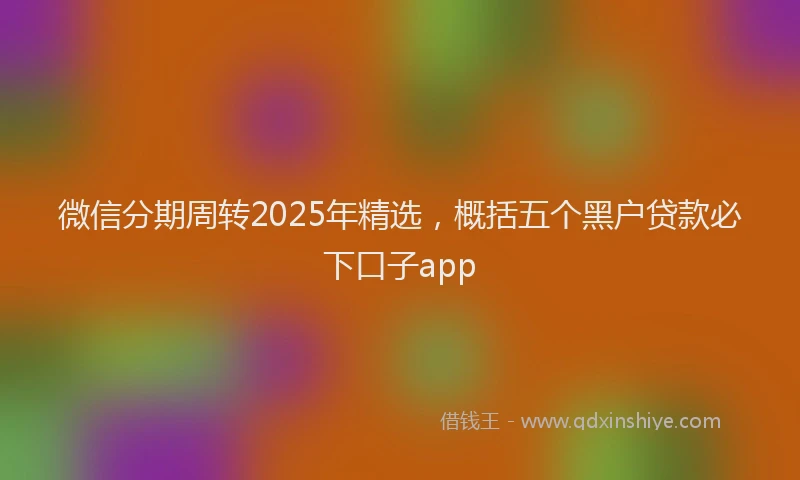 微信分期周转2025年精选，概括五个黑户贷款必下口子app