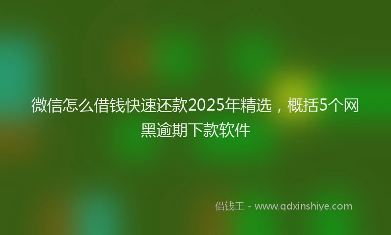 微信怎么借钱快速还款2025年精选，概括5个网黑逾期下款软件