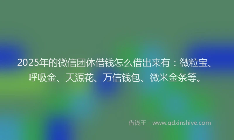 2025年的微信团体借钱怎么借出来有：微粒宝、呼吸金、天源花、万信钱包、微米金条等。