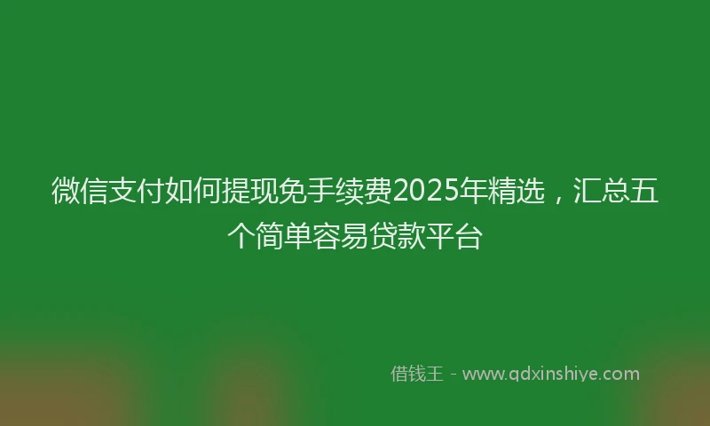微信支付如何提现免手续费2025年精选，汇总五个简单容易贷款平台