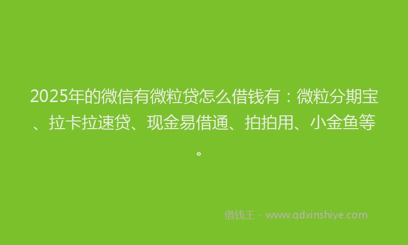 2025年的微信有微粒贷怎么借钱有：微粒分期宝、拉卡拉速贷、现金易借通、拍拍用、小金鱼等。