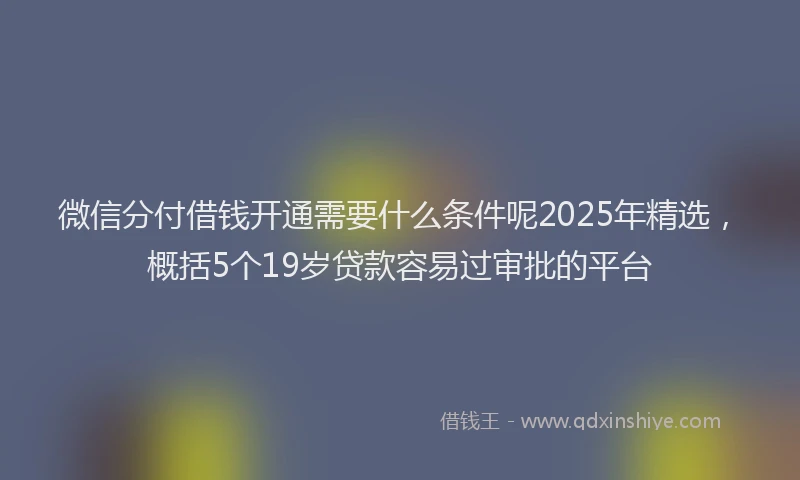 微信分付借钱开通需要什么条件呢2025年精选，概括5个19岁贷款容易过审批的平台