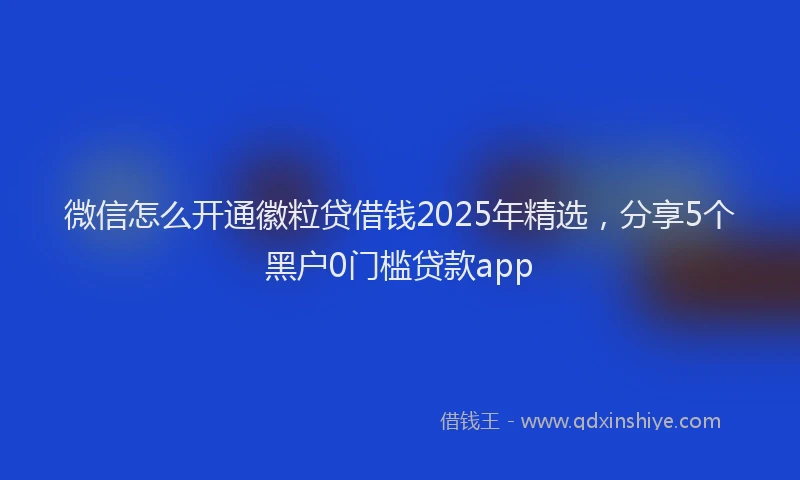 微信怎么开通徽粒贷借钱2025年精选，分享5个黑户0门槛贷款app