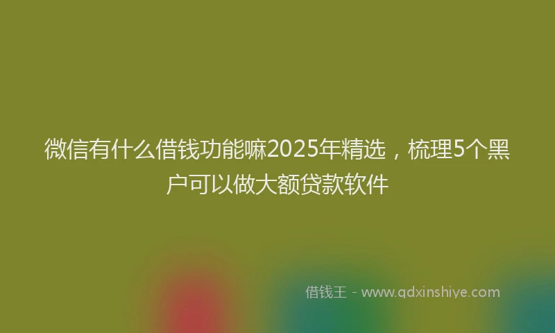 微信有什么借钱功能嘛2025年精选，梳理5个黑户可以做大额贷款软件