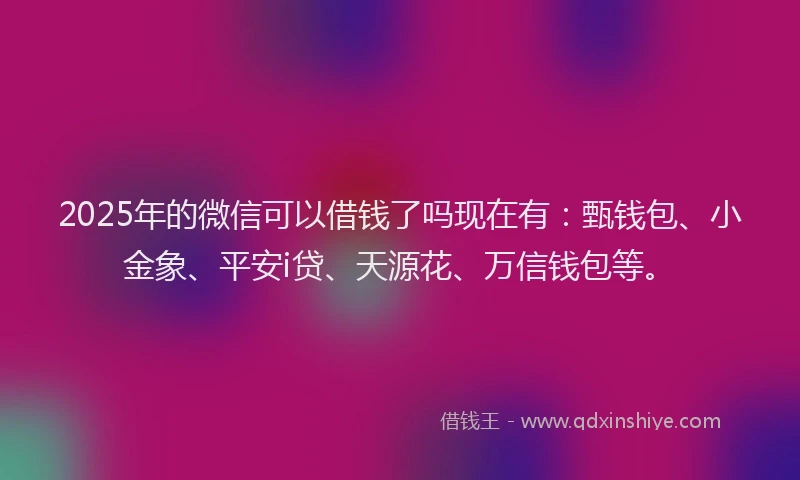 2025年的微信可以借钱了吗现在有：甄钱包、小金象、平安i贷、天源花、万信钱包等。