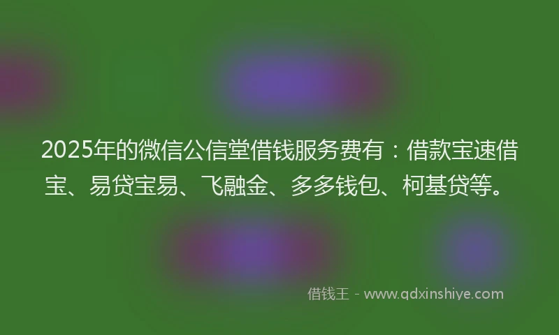 2025年的微信公信堂借钱服务费有：借款宝速借宝、易贷宝易、飞融金、多多钱包、柯基贷等。