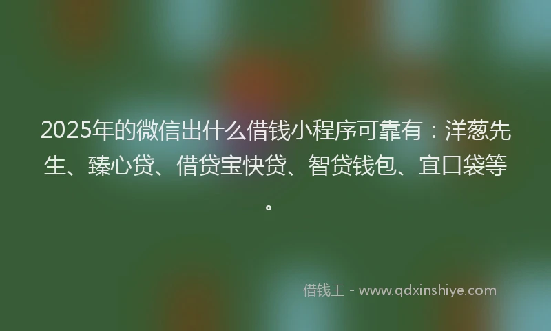 2025年的微信出什么借钱小程序可靠有：洋葱先生、臻心贷、借贷宝快贷、智贷钱包、宜口袋等。
