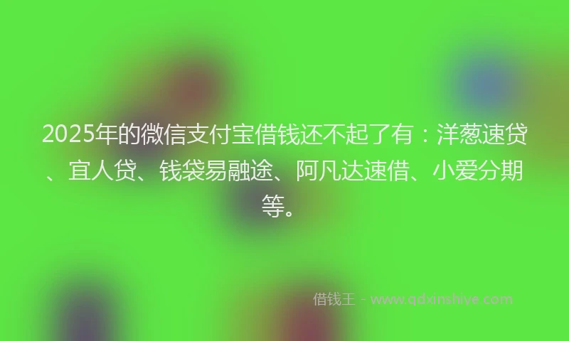 2025年的微信支付宝借钱还不起了有：洋葱速贷、宜人贷、钱袋易融途、阿凡达速借、小爱分期等。