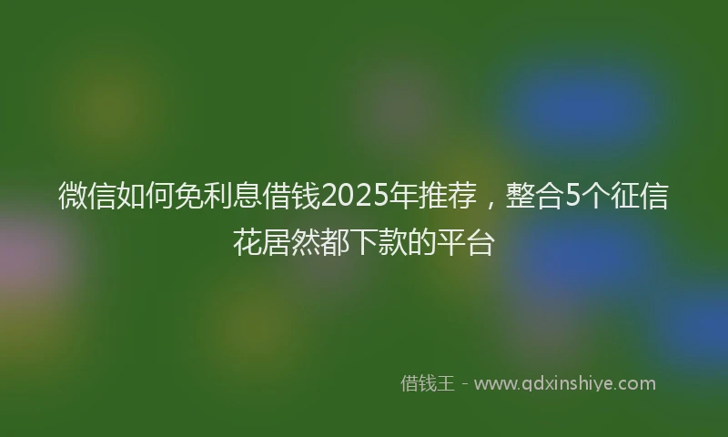 微信如何免利息借钱2025年推荐，整合5个征信花居然都下款的平台