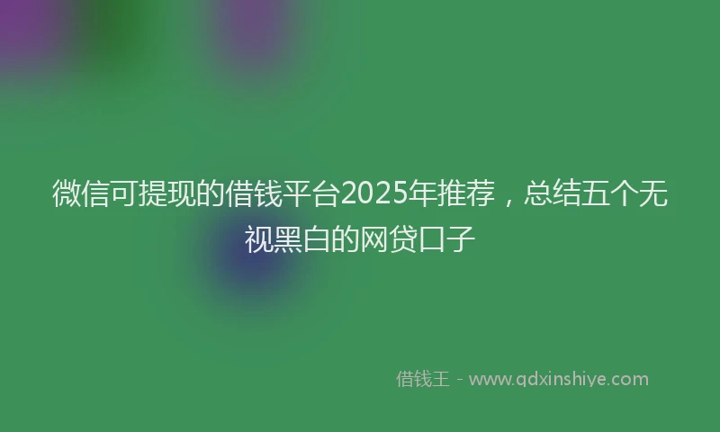 微信可提现的借钱平台2025年推荐，总结五个无视黑白的网贷口子