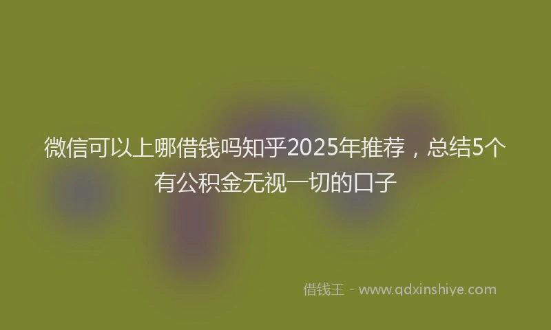 微信可以上哪借钱吗知乎2025年推荐，总结5个有公积金无视一切的口子