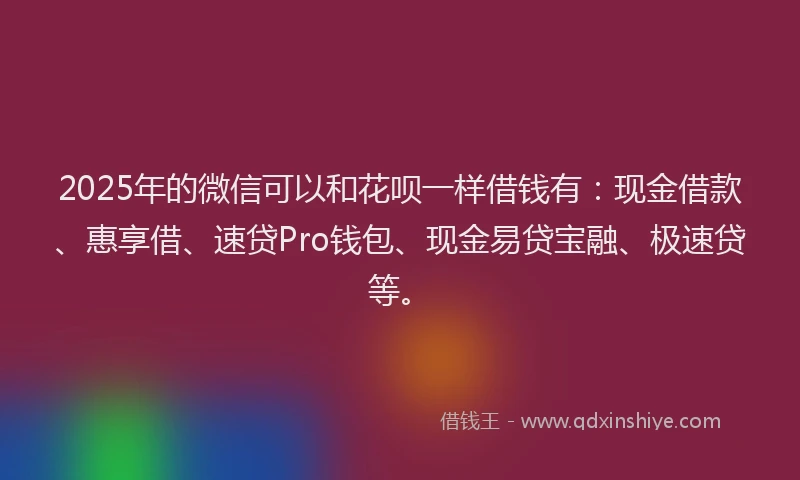 2025年的微信可以和花呗一样借钱有：现金借款、惠享借、速贷Pro钱包、现金易贷宝融、极速贷等。