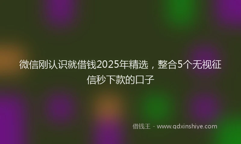微信刚认识就借钱2025年精选，整合5个无视征信秒下款的口子
