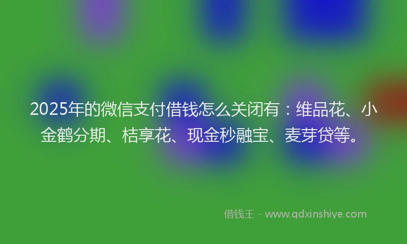 2025年的微信支付借钱怎么关闭有：维品花、小金鹤分期、桔享花、现金秒融宝、麦芽贷等。