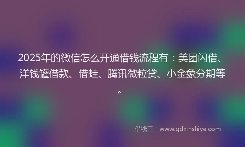 2025年的微信怎么开通借钱流程有：美团闪借、洋钱罐借款、借蛙、腾讯微粒贷、小金象分期等。