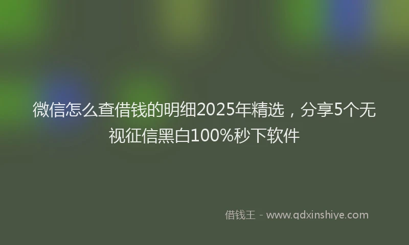 微信怎么查借钱的明细2025年精选，分享5个无视征信黑白100%秒下软件