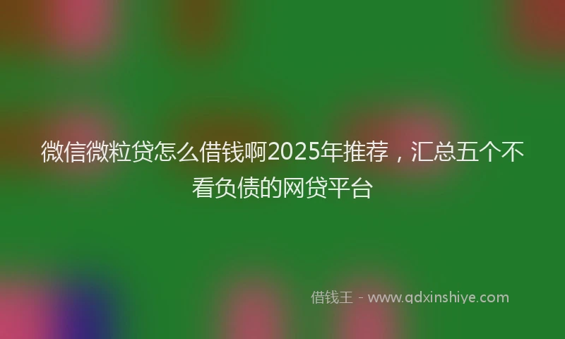 微信微粒贷怎么借钱啊2025年推荐，汇总五个不看负债的网贷平台