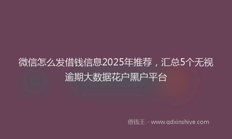 微信怎么发借钱信息2025年推荐，汇总5个无视逾期大数据花户黑户平台