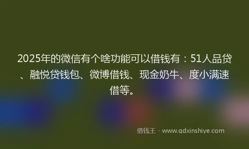 2025年的微信有个啥功能可以借钱有：51人品贷、融悦贷钱包、微博借钱、现金奶牛、度小满速借等。