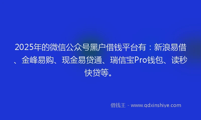 2025年的微信公众号黑户借钱平台有：新浪易借、金峰易购、现金易贷通、瑞信宝Pro钱包、读秒快贷等。