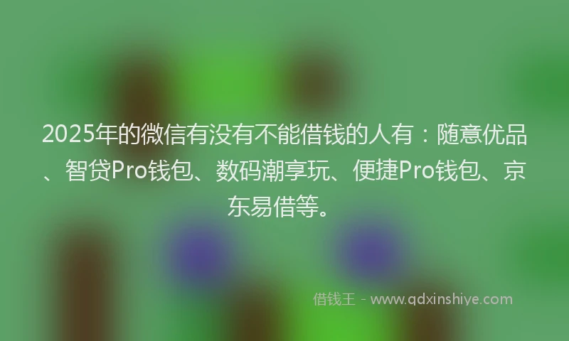 2025年的微信有没有不能借钱的人有：随意优品、智贷Pro钱包、数码潮享玩、便捷Pro钱包、京东易借等。