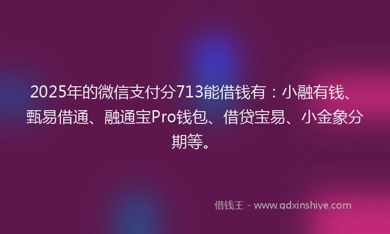 2025年的微信支付分713能借钱有：小融有钱、甄易借通、融通宝Pro钱包、借贷宝易、小金象分期等。