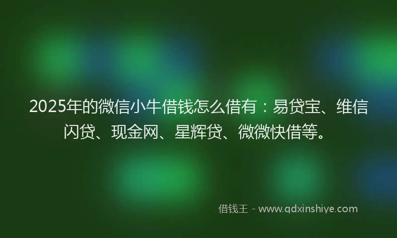 2025年的微信小牛借钱怎么借有：易贷宝、维信闪贷、现金网、星辉贷、微微快借等。