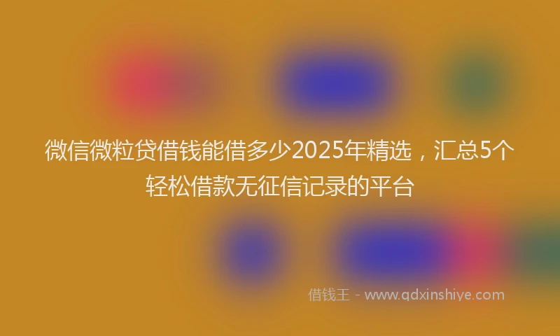 微信微粒贷借钱能借多少2025年精选，汇总5个轻松借款无征信记录的平台