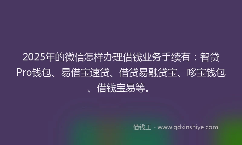 2025年的微信怎样办理借钱业务手续有：智贷Pro钱包、易借宝速贷、借贷易融贷宝、哆宝钱包、借钱宝易等。