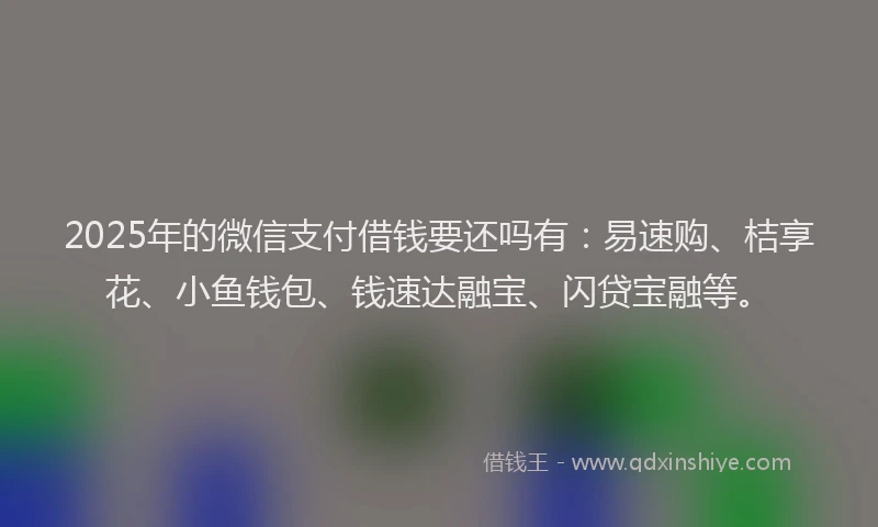2025年的微信支付借钱要还吗有：易速购、桔享花、小鱼钱包、钱速达融宝、闪贷宝融等。